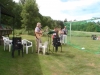 midsommar-2012-070